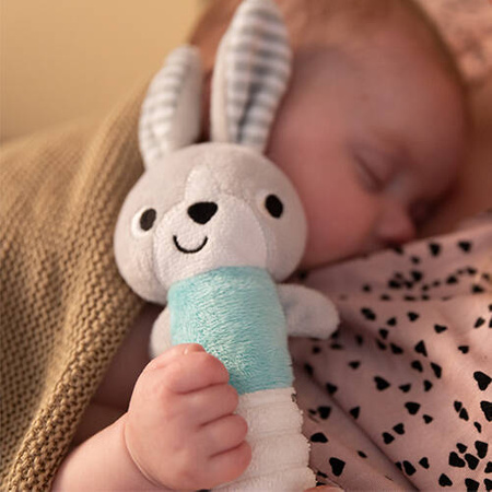 Babyono 1496 Piszczek BUNNY HEY! Zabawka dla niemowląt