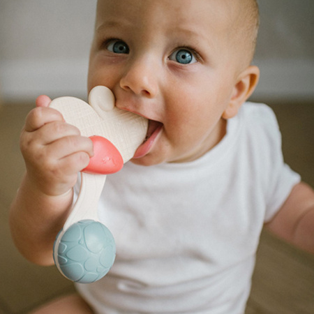 Babyono 1589 Grzechotka z gryzakiem dla niemowląt 3m+