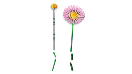 LEGO Botanicals 10347 Mały słoneczny bukiet 373 el. 9+ Kwiaty