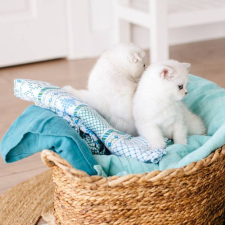 Tommy Lise 701331 muślonowa pieluszka 100% bawełna